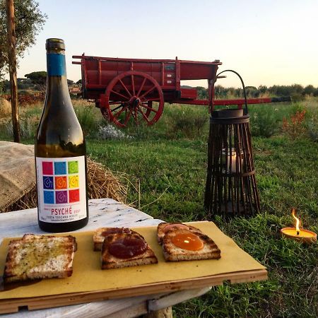 Agriturismo Quattro Pini カスタニェート・カルドゥッチ エクステリア 写真