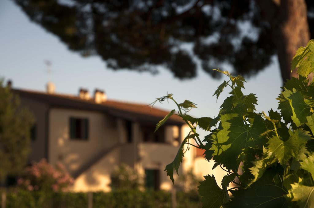 Agriturismo Quattro Pini カスタニェート・カルドゥッチ エクステリア 写真