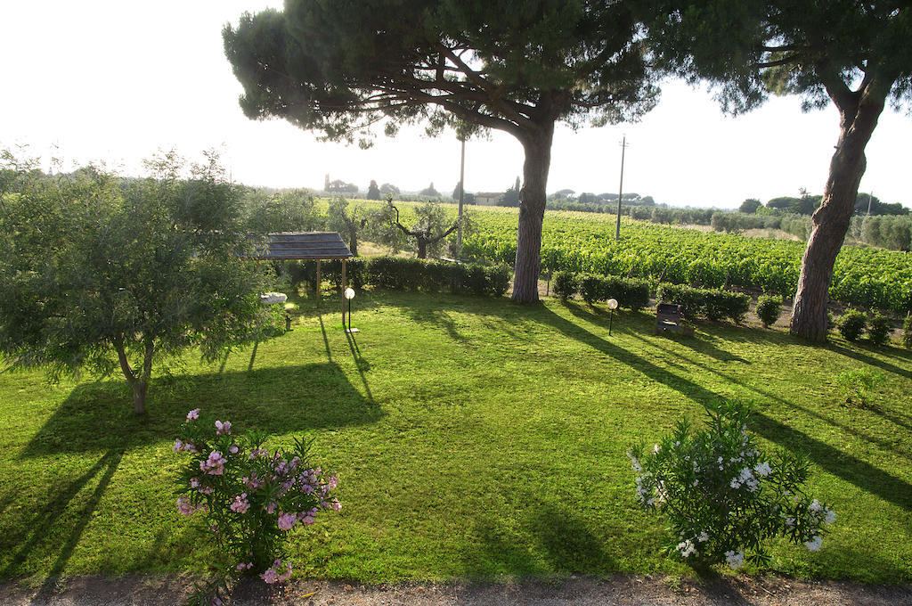 Agriturismo Quattro Pini カスタニェート・カルドゥッチ 部屋 写真
