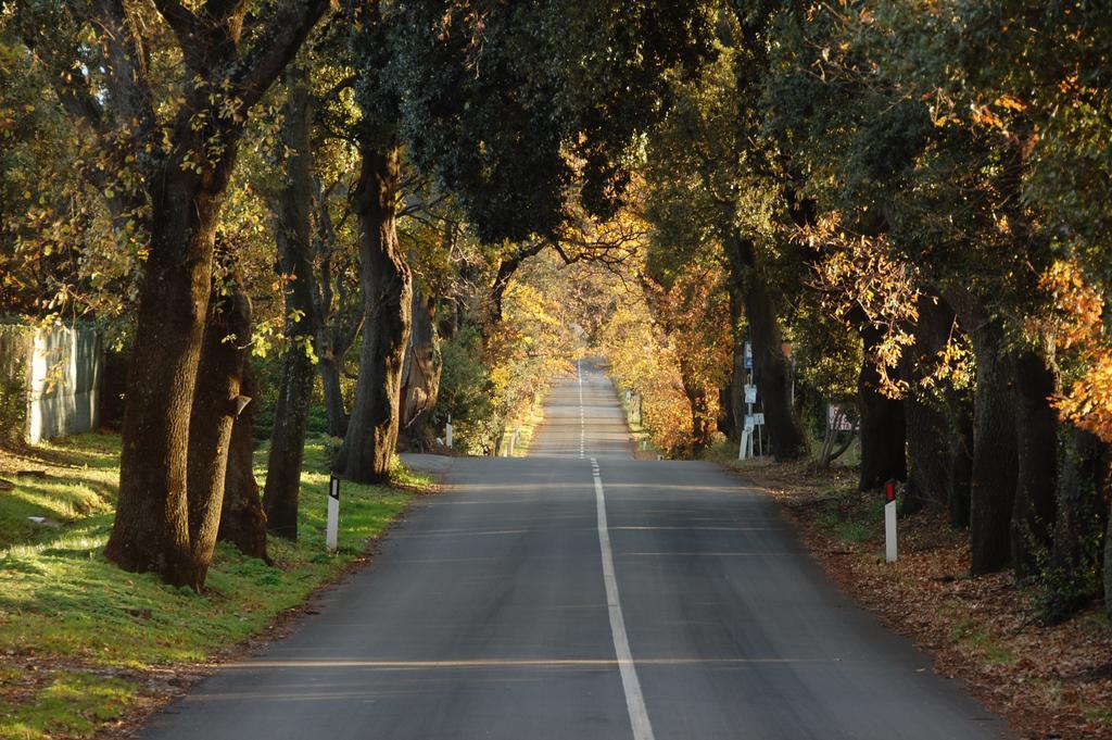 Agriturismo Quattro Pini カスタニェート・カルドゥッチ エクステリア 写真