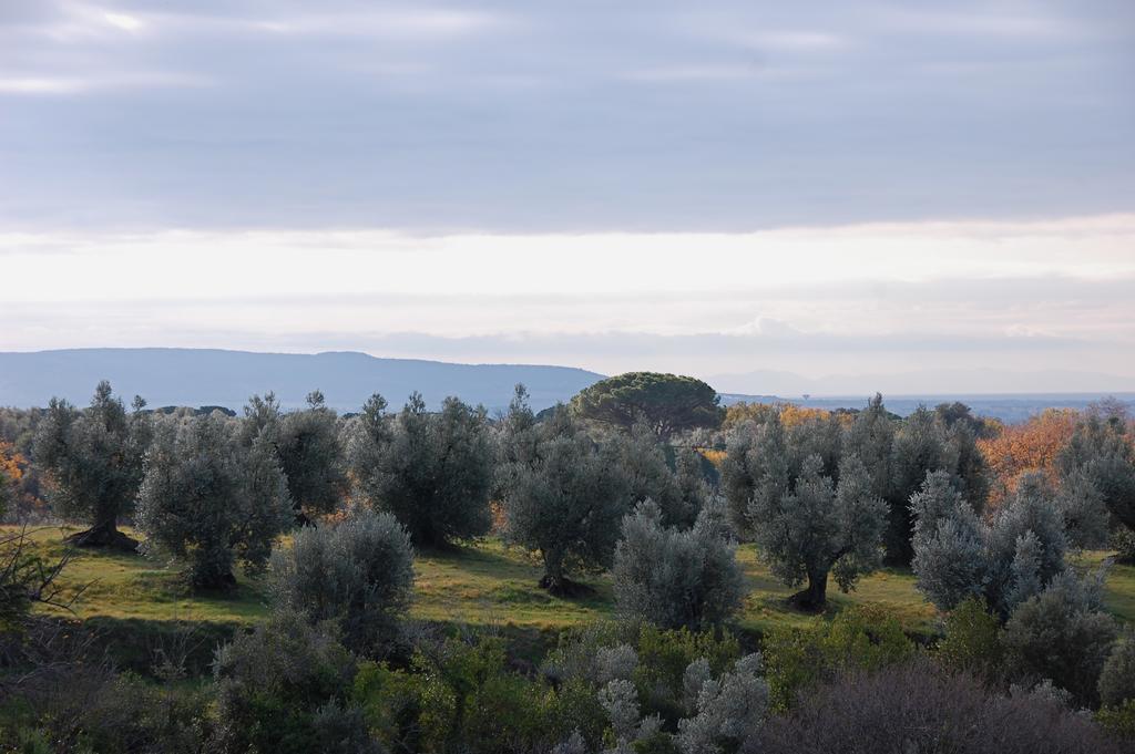 Agriturismo Quattro Pini カスタニェート・カルドゥッチ エクステリア 写真
