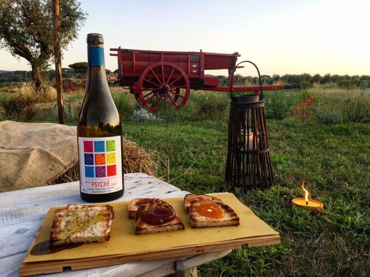 Agriturismo Quattro Pini カスタニェート・カルドゥッチ エクステリア 写真