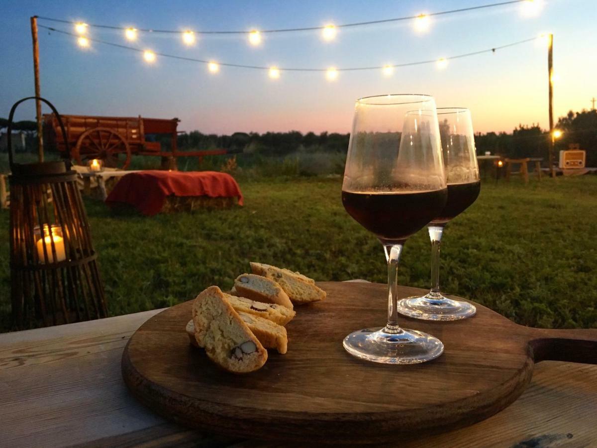 Agriturismo Quattro Pini カスタニェート・カルドゥッチ エクステリア 写真