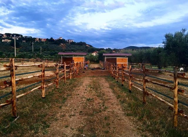 Agriturismo Quattro Pini カスタニェート・カルドゥッチ エクステリア 写真